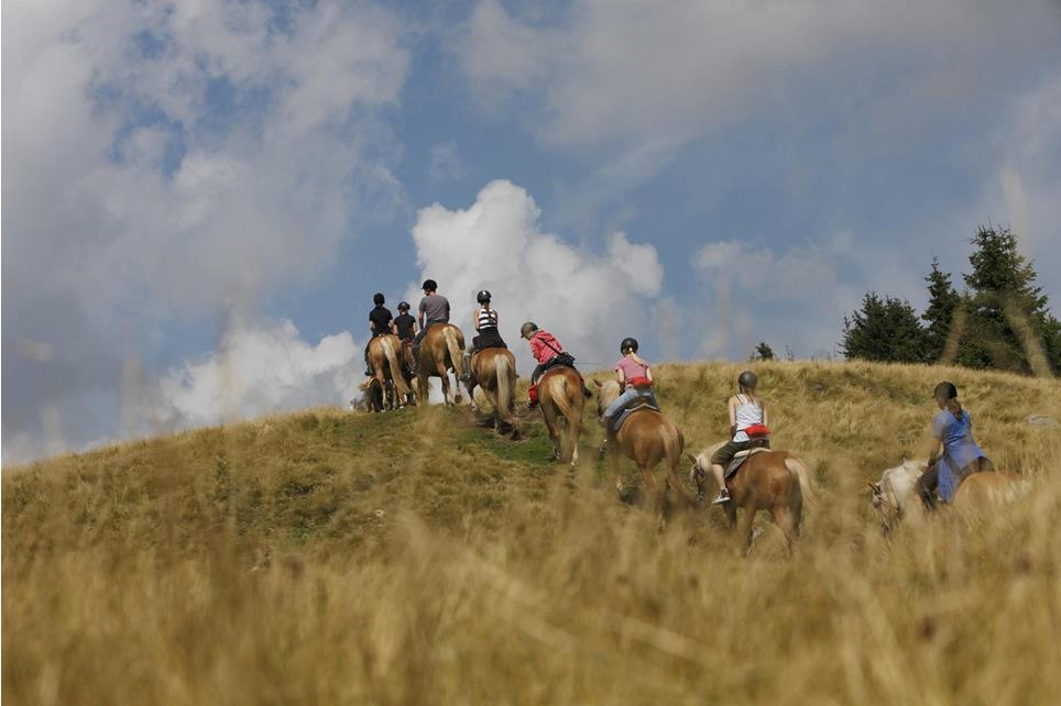 Tagesritte mit Haflinger Pferden in Hafling, Vöran und Meran 2000