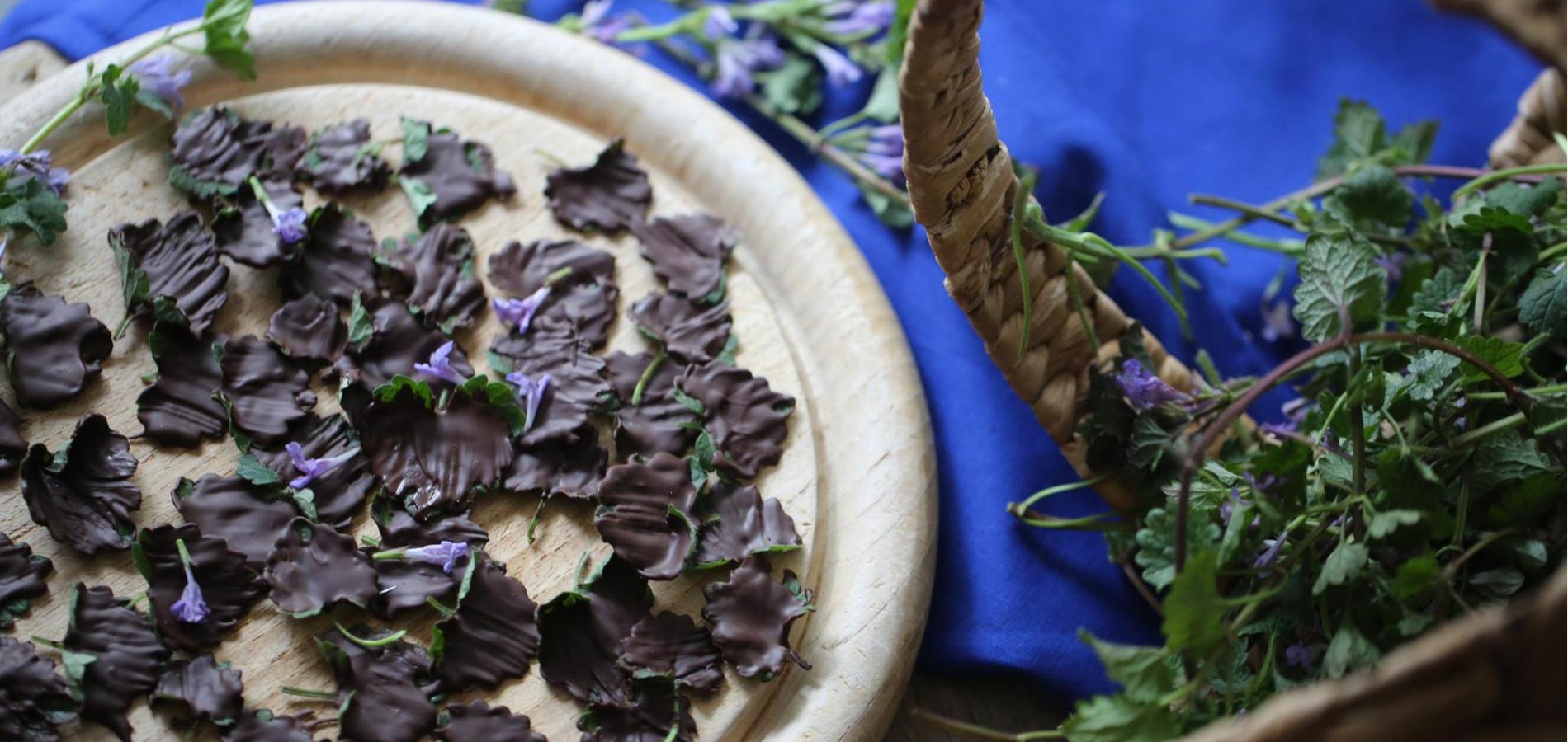 Chocolate-covered ground ivy in dark chocolate cream