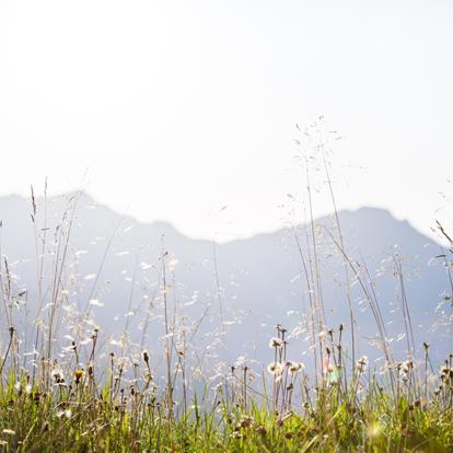 Come arrivare a Naturno