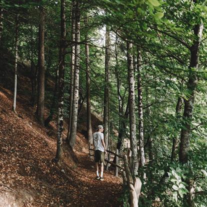 Wandergebiete in Lana und Umgebung bei Meran