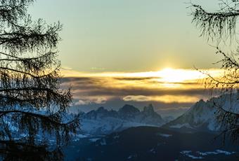 Europe's largest larch plateau