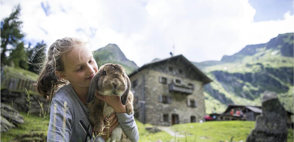 Dein Wanderpass: Sammle die Hüttenstempel entlang deines Weges und dich erwartet ein tolles Geschenk im Tourismusverein.