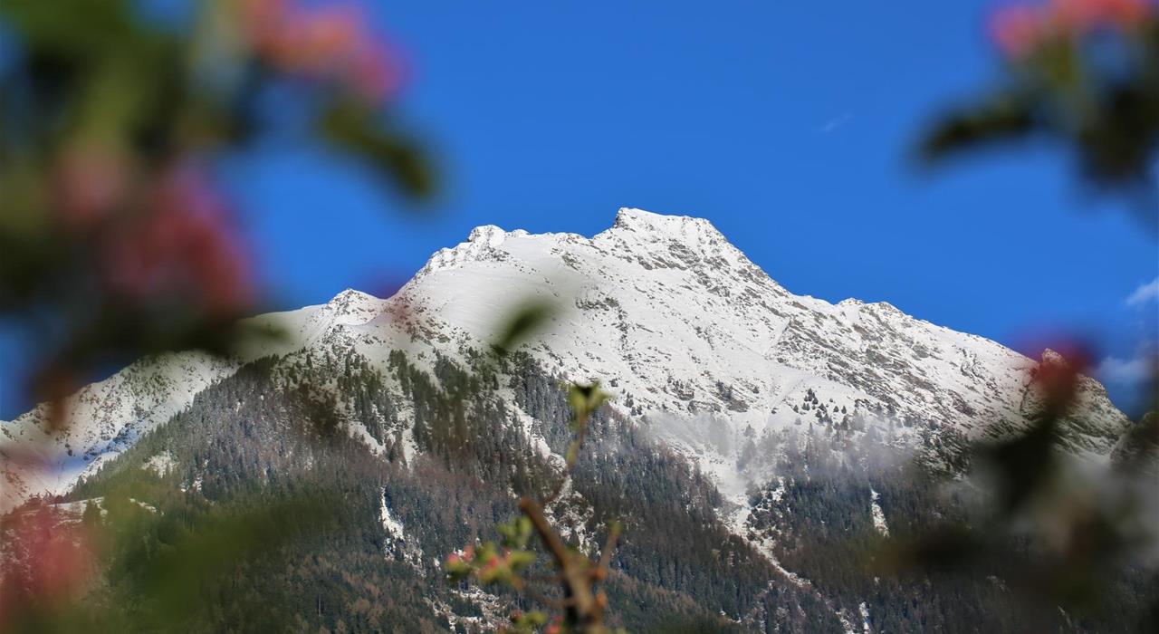siemr-fruehling-2019-kt-jpg-1