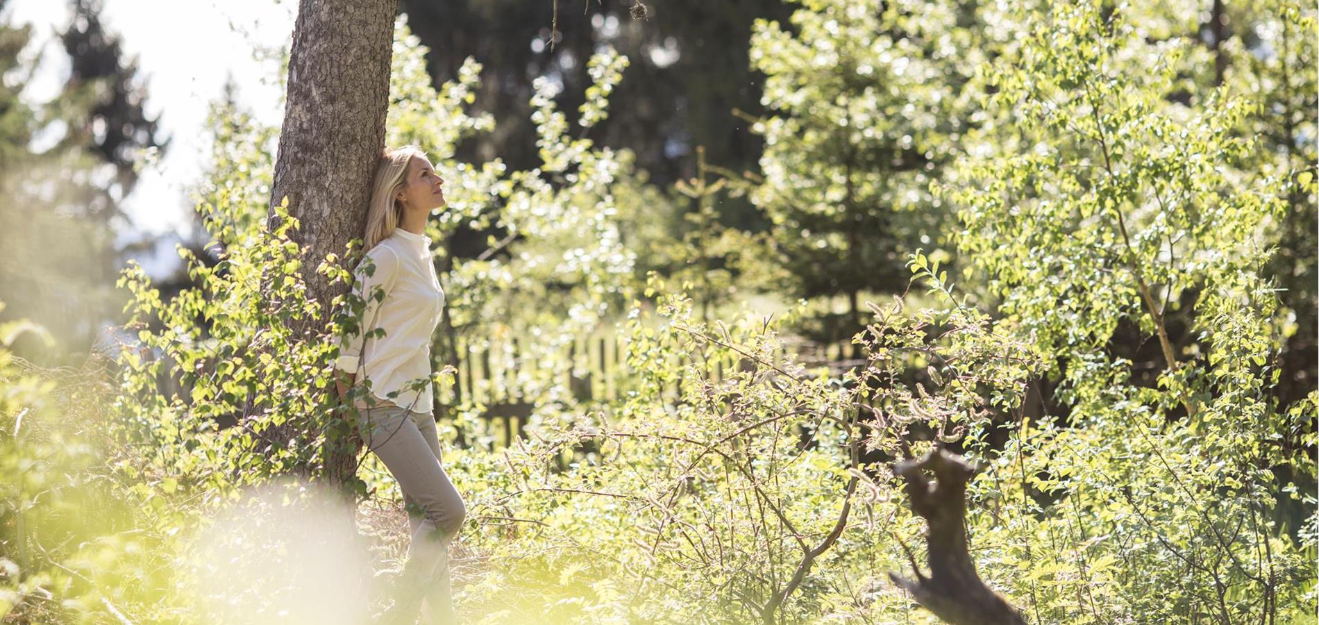 “Forest bathing”: L’effetto benefico della totale immersione nel bosco