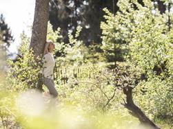 Forest bathing: More than just hugging trees?