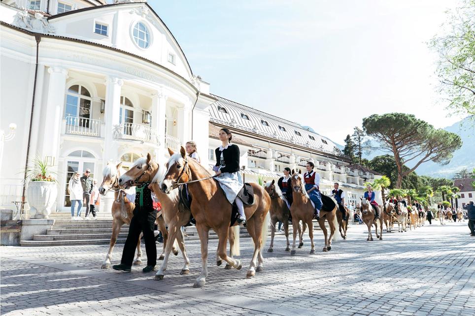 haflinger-pferde-sportverein-bernhard-aichner-ostergalopprennen-2023-7