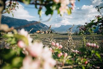 Dorf Tirol