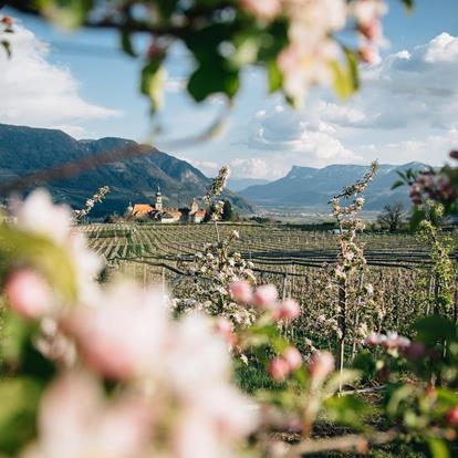 Der spannendste Sommer ist in Dorf Tirol, beginne hier zu träumen