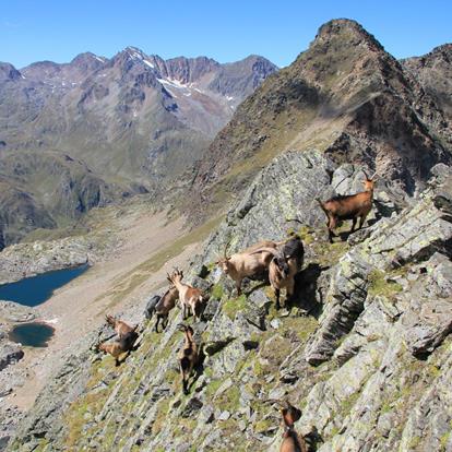 Monumenti naturali a Parcines