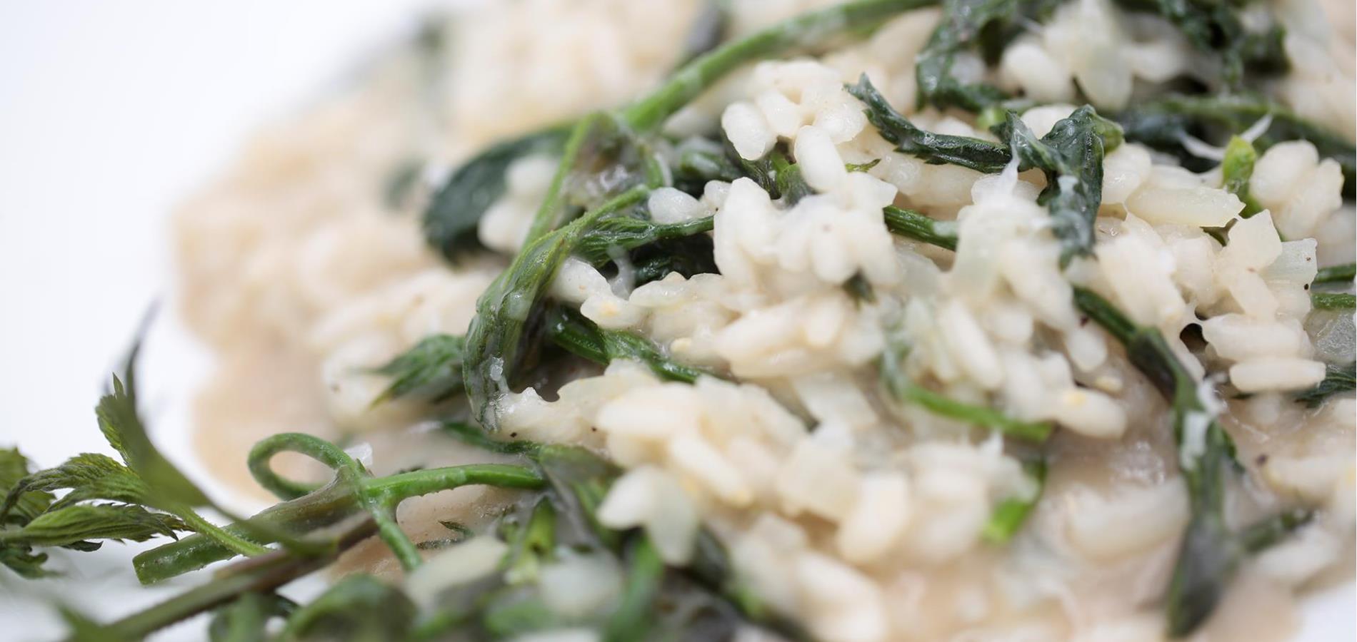 Risotto mit Bruscandoli (wildem Wiesen-Spargel)