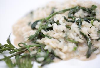 Risotto con i bruscandoli (luppolo selvatico)