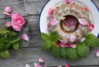 Zitronenmelisse Kuchen