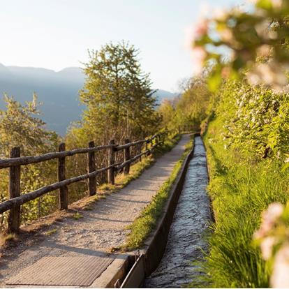Hiking Trails in Lana and Surroundings near Merano