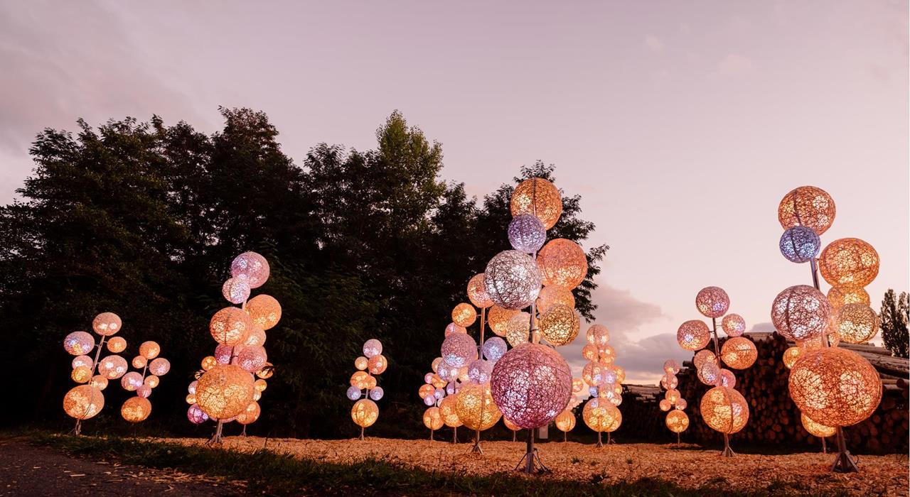 de-neuwied-lumagica-neuwied-light-parks-27
