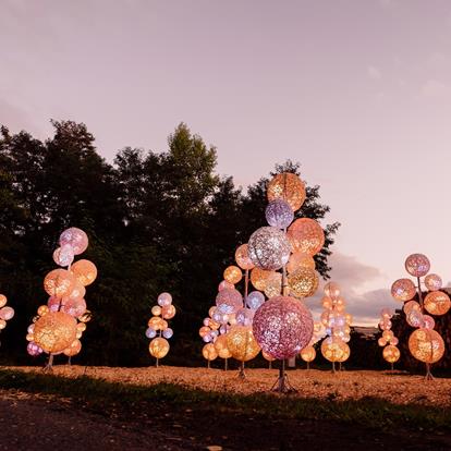 Lumagica - A Homage to Nature