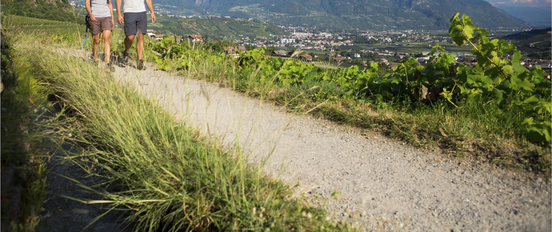 Sentiero della roggia di Tirolo