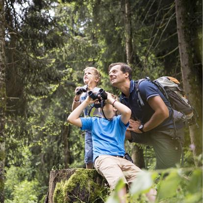 Ausflüge mit der Familie