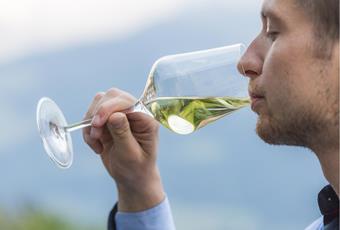 Tips for wine tasting