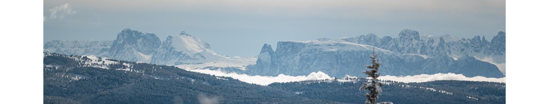 Storia attuale e highlight