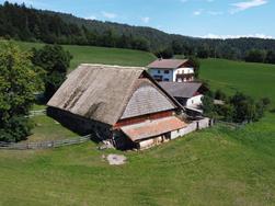 The last thatched roofs of Vöran