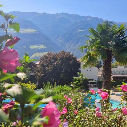 Divertimento in piscina per tutta la famiglia