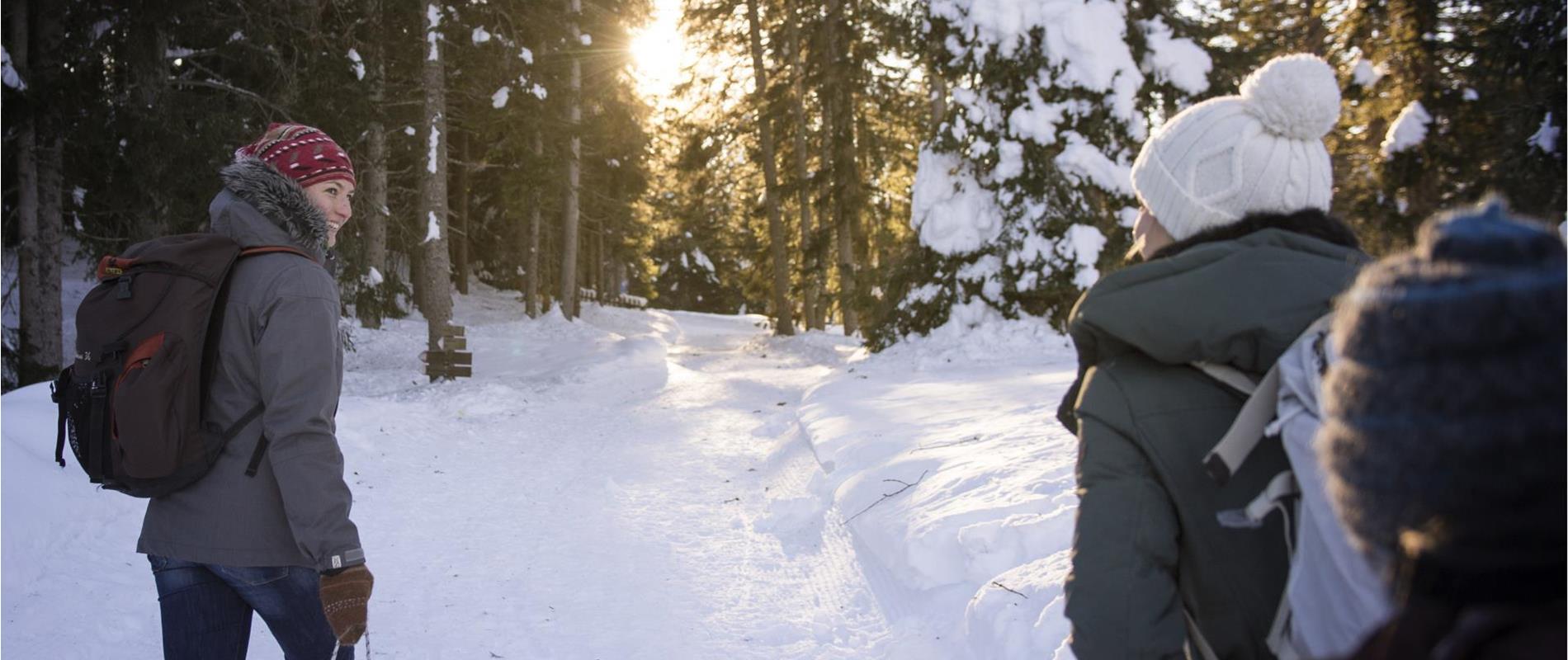 Schneeschuh- & Winterwandern in Marling