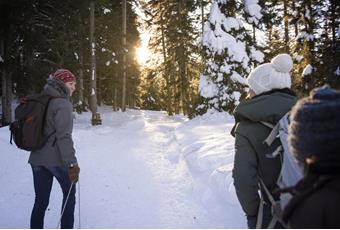 Snowshoe-hiking in Marlengo