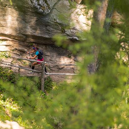 The trails