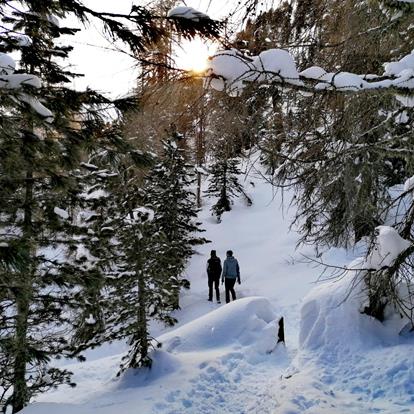 Sentieri escursionistici invernali in Val Senales