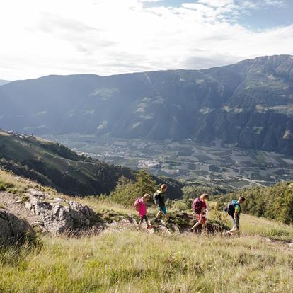 Der Meraner Höhenweg
