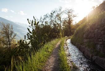 Waalwege im Vinschgau bei Naturns