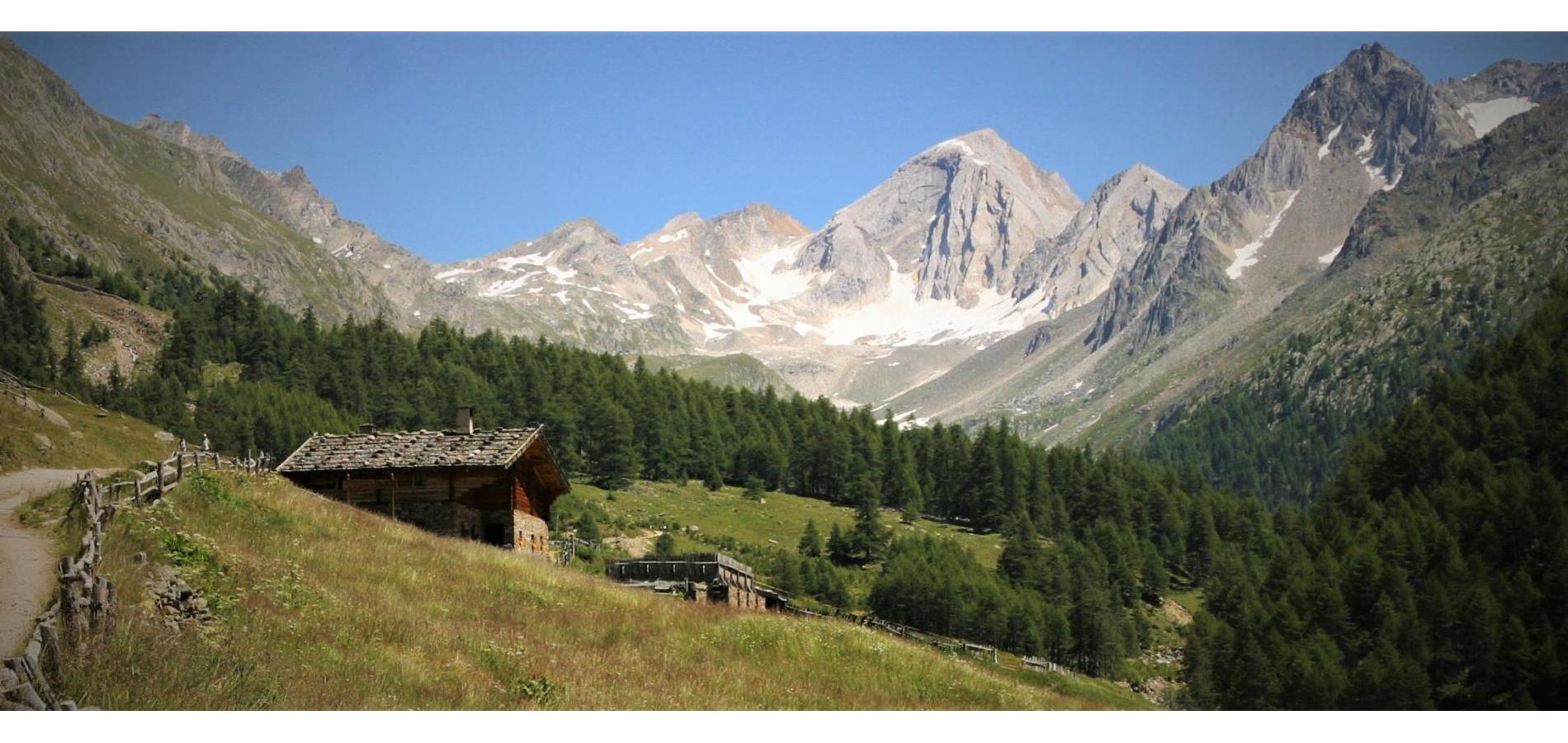 Sommer im Schnalstal