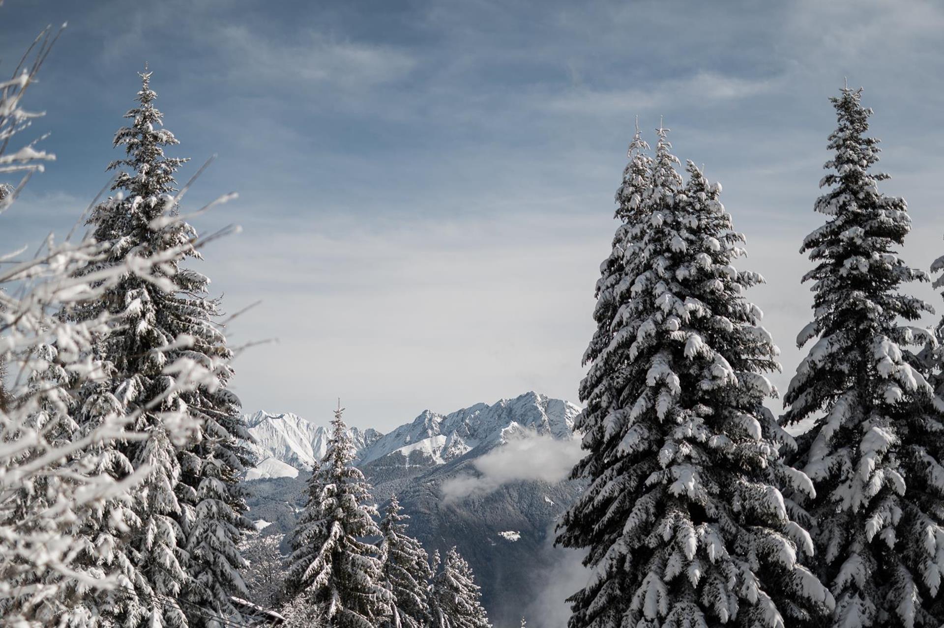 nur-nach-ruecksprache-mit-sybille-verwenden-64