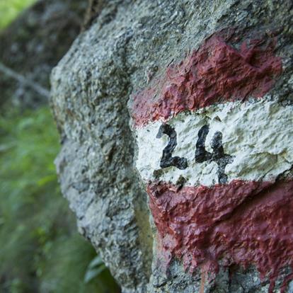 The Meran High Mountain Trail in South Tyrol