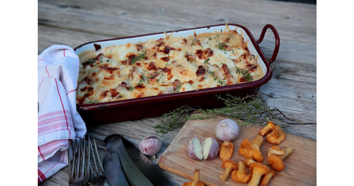 Recipes Chanterelle Lasagna