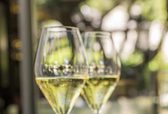 Die Kunst der Sekt-Herstellung