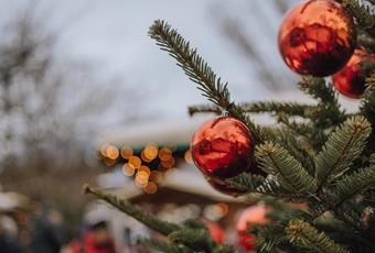 Christmas Tree Upcycling for a Good Cause
