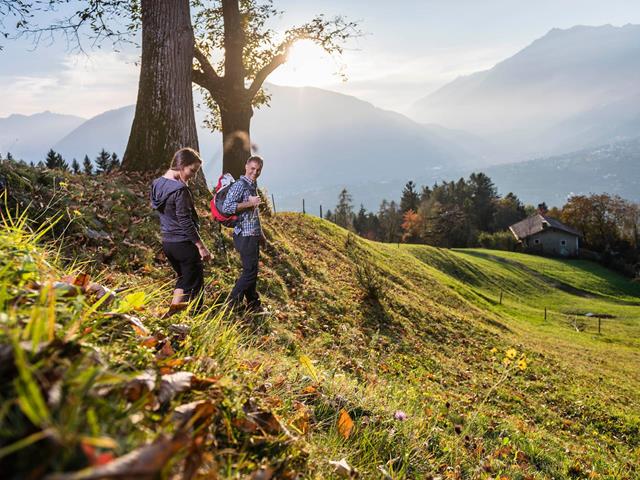 Wandern-Herbst-Schenna-hn