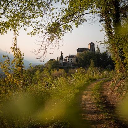 Waalwege Trails in Lana and Environs