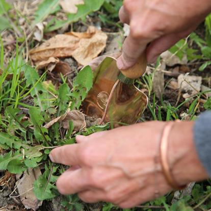 Brauchtum „Zigoristechn“ Löwenzahn stechen in Südtirol