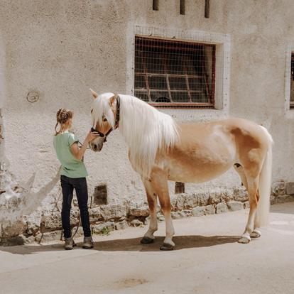 Reiten in Lana und Umgebung