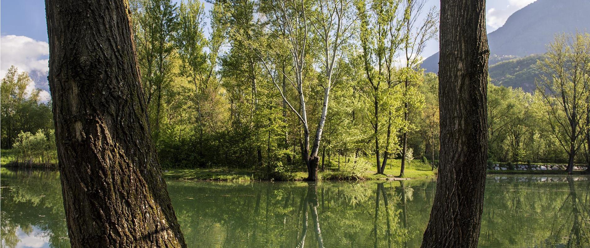 Biotoop Falschauer in Lana