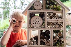 Programma per famiglie - Pentecoste