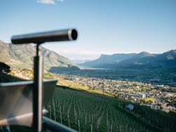 Would you like to learn more about the fauna of South Tyrol on site?