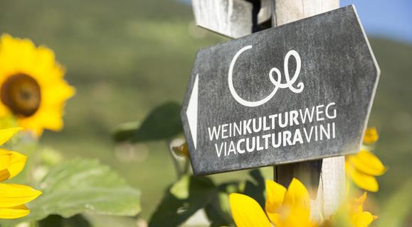 Aktiv-WeinKulturWeg Logo-Marling-dp