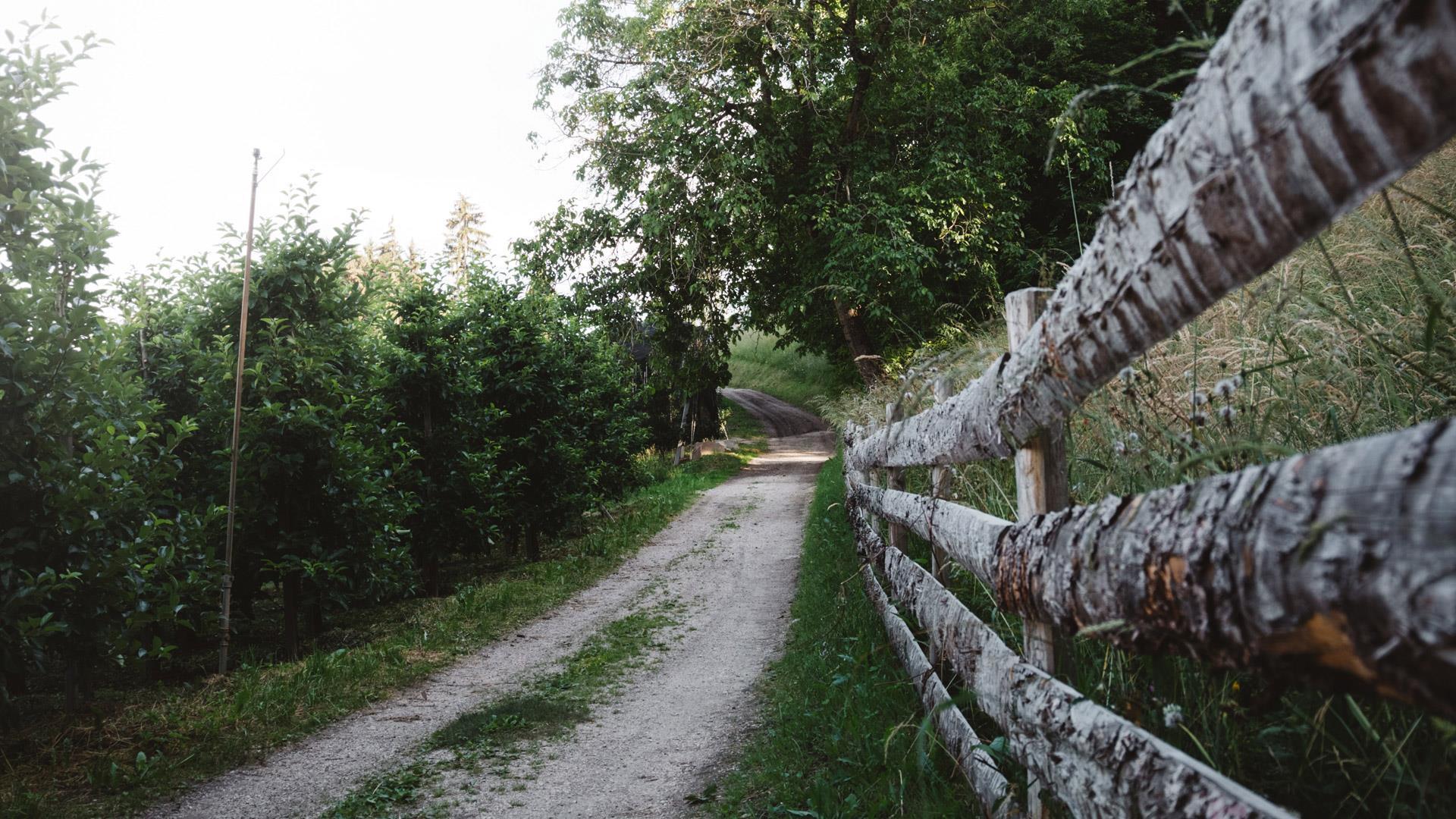 kastanienweg03