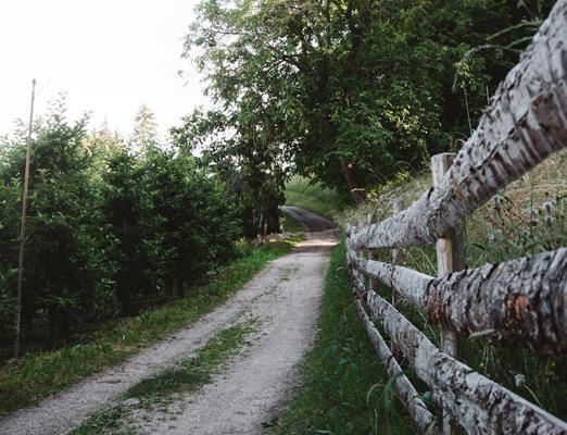 kastanienweg03