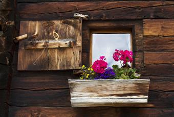 Mountain Huts and Pastures in Naturno