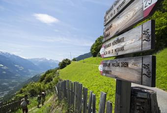 Events in Naturno