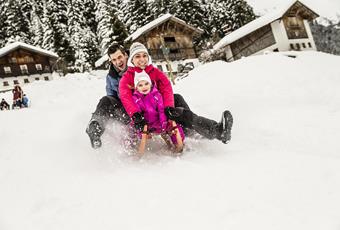 With the Sledge through the Woods in Schenna in South Tyrol